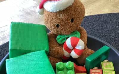 Festive season hours 2025