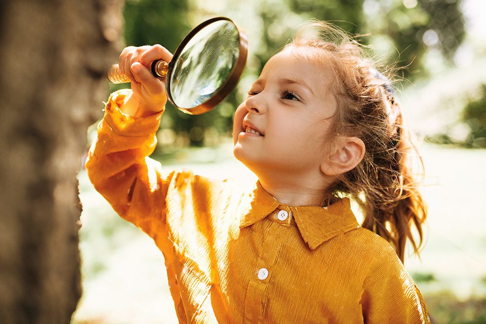 canopy Ormiston playground