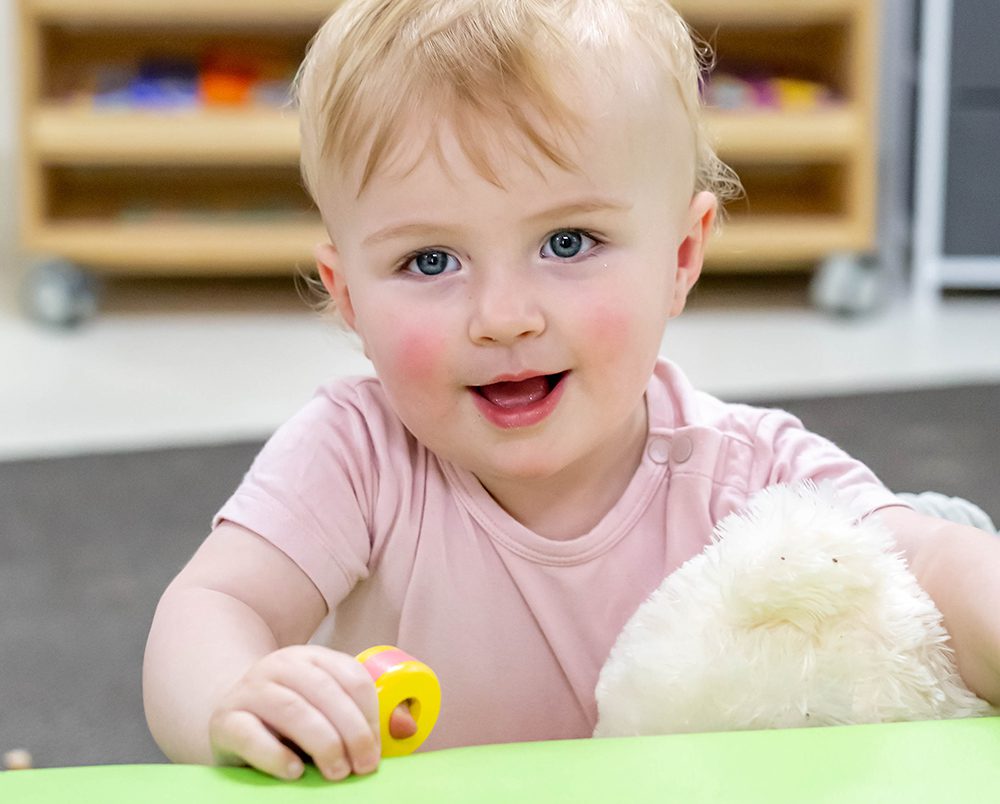 canopy Ormiston playground